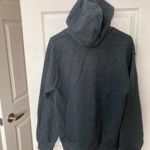 Toronto Zoo Classic Hoodie (EUC) - Picture 2 of 3